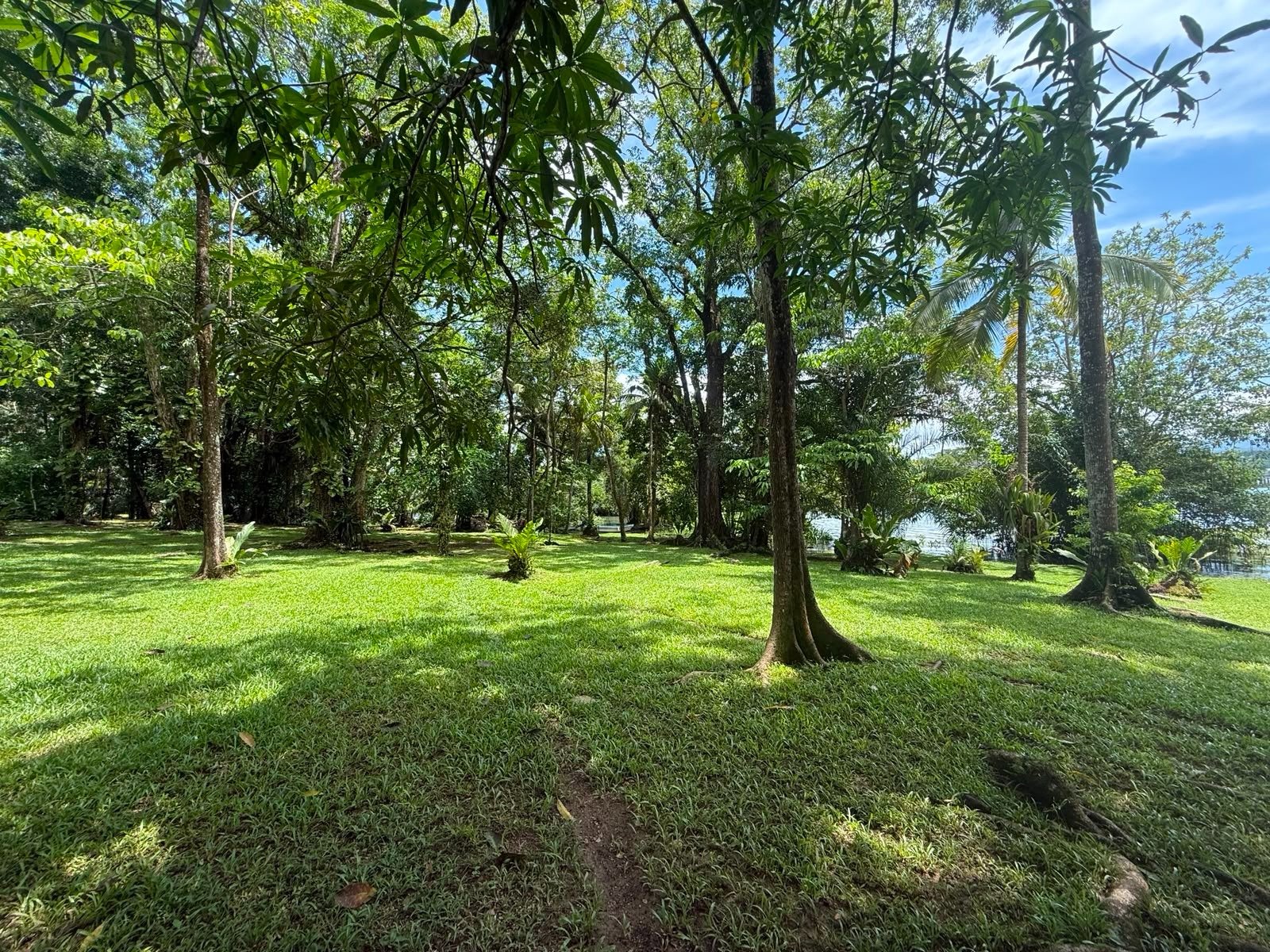 Terreno en Río Dulce | Entrada a la Bocadilla - Image 1