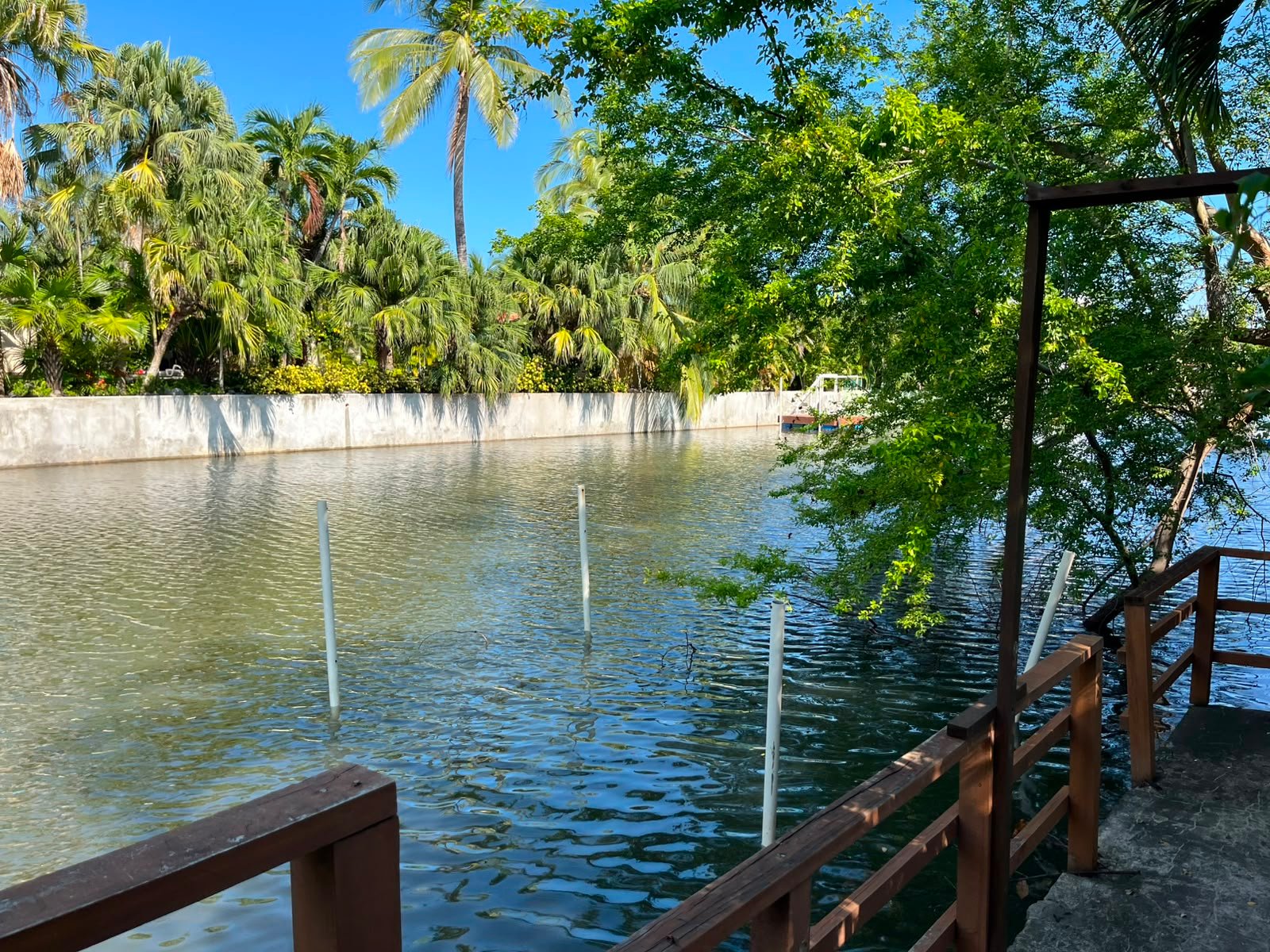 Casa en Likin | Acceso a Canal | Amplia Piscina y Lindo Jardín - Miniatura 8