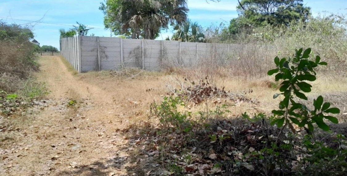 Terreno en Aldea El Garitón KM 134 A 350m del Mar (1)