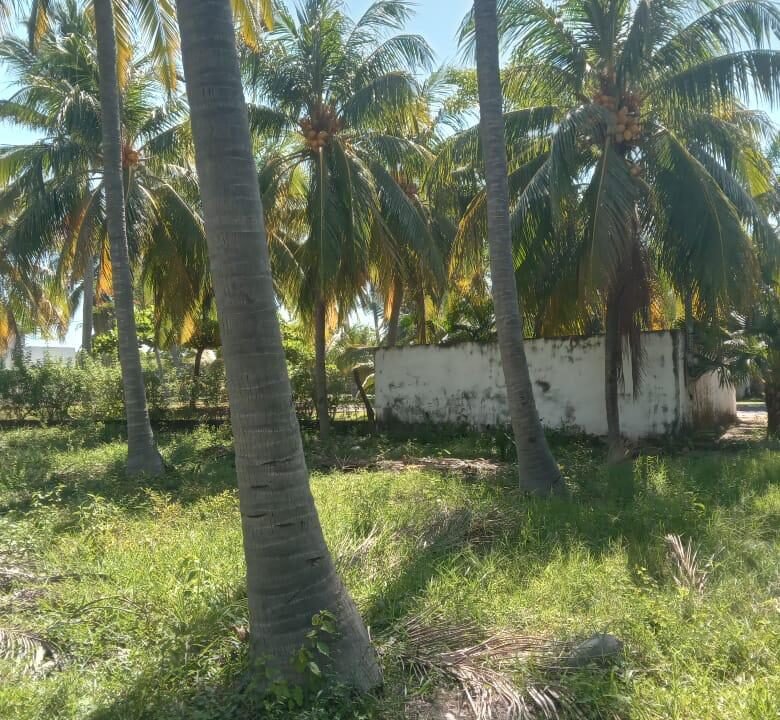 Terreno en Las Lisas Frente al Mar (1)