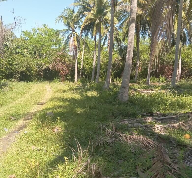 Terreno en Las Lisas Frente al Mar (5)