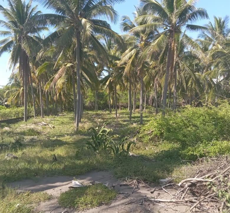 Terreno en Las Lisas Frente al Mar (6)