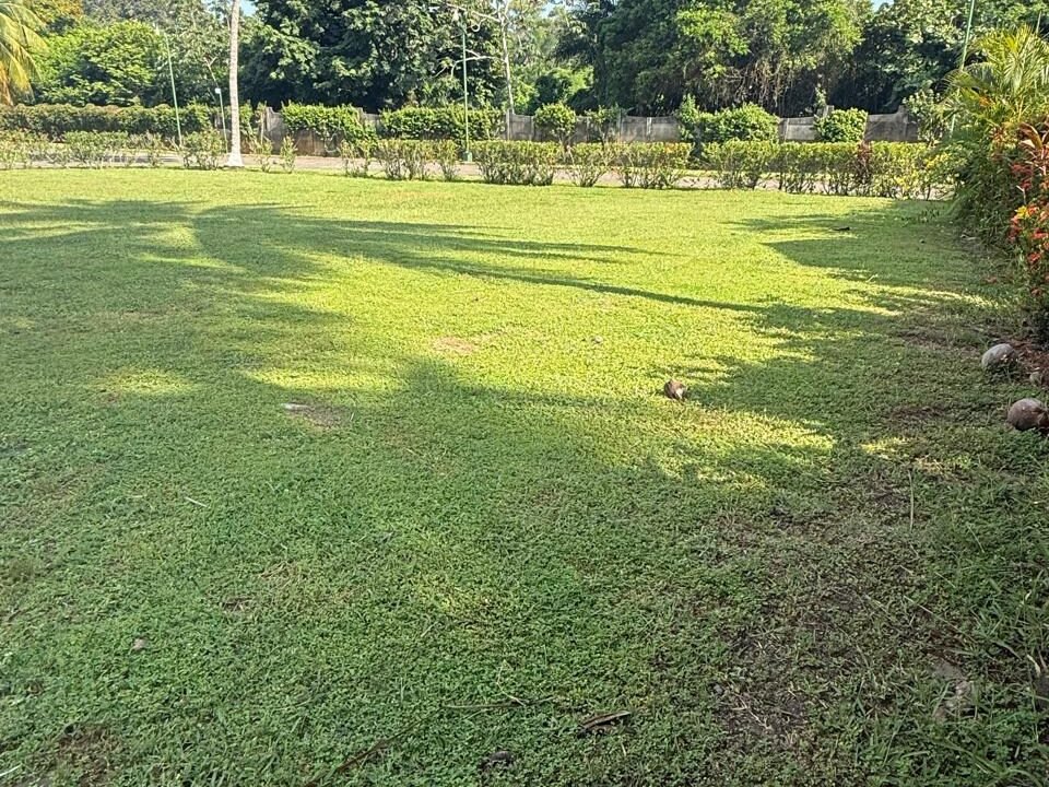 Terreno en All Seasons Plano Con Título de Propiedad (3)