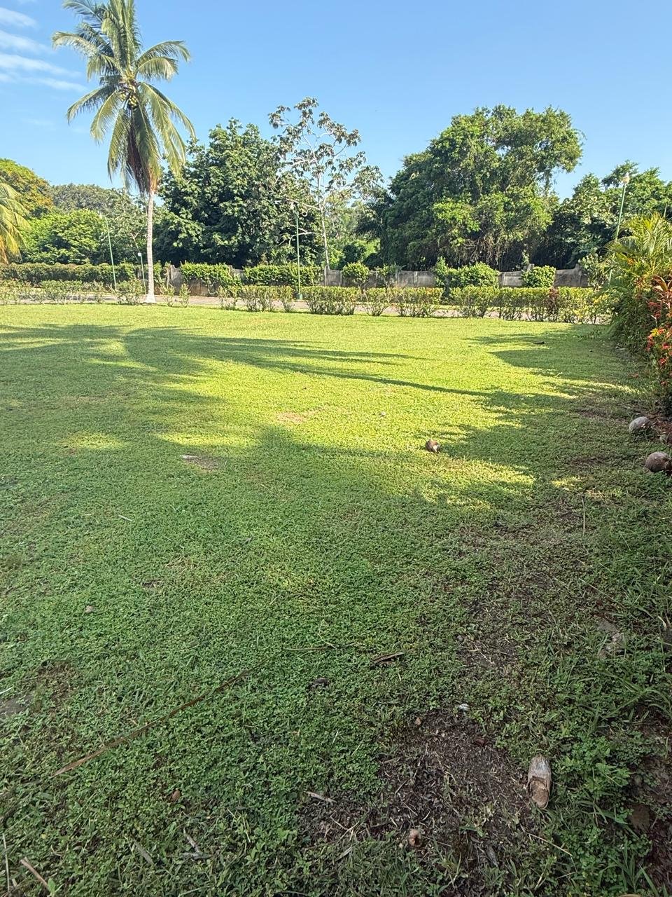 Terreno en All Seasons | Plano | Con Título de Propiedad - Image 2