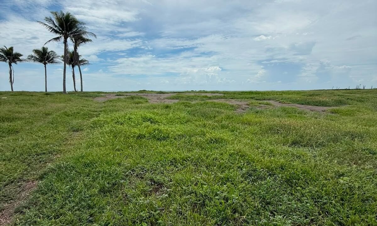 Terreno Frente al Mar en El Paredón | 3,808 m² | Desarrollo 2