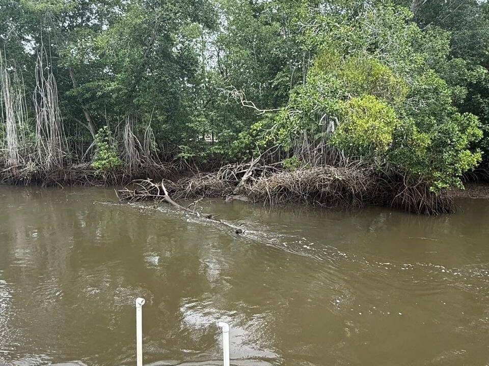Casa de Playa con Piscina y Acceso a Canal – Likin, Guatemala