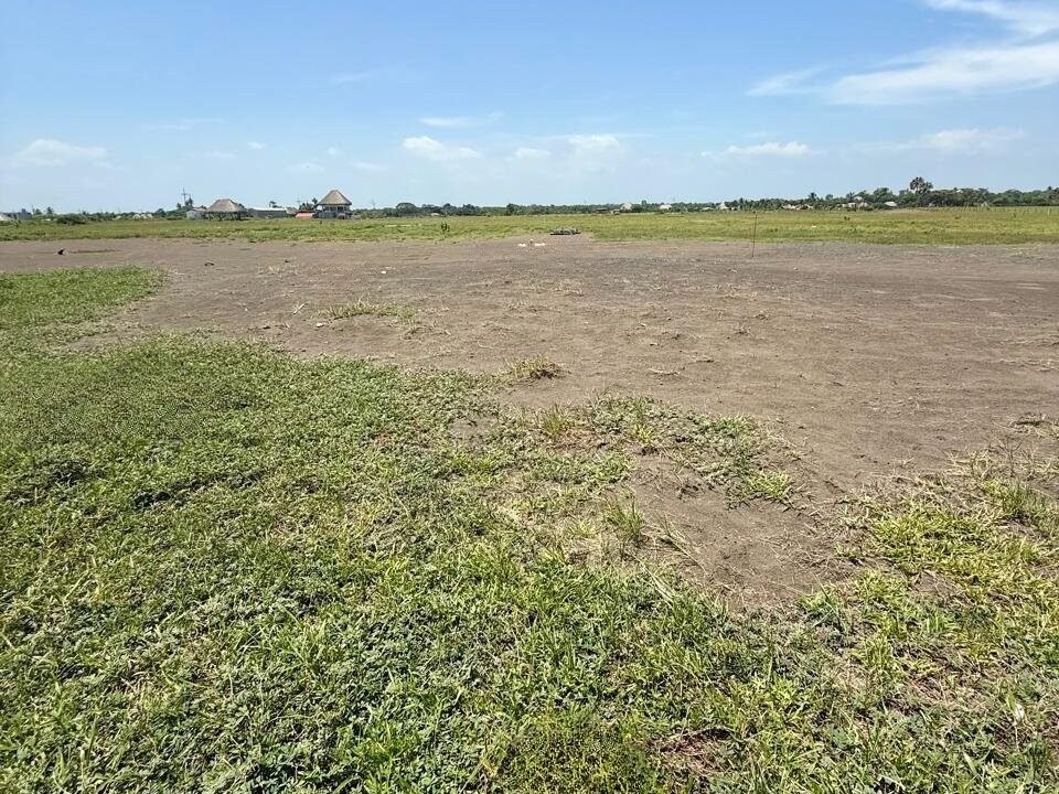 terreno-frente-al-mar-c2b7-644-vc2b2-c2b7-aldea-el-naranjo-el-paredon-a6155fdfdf (3)