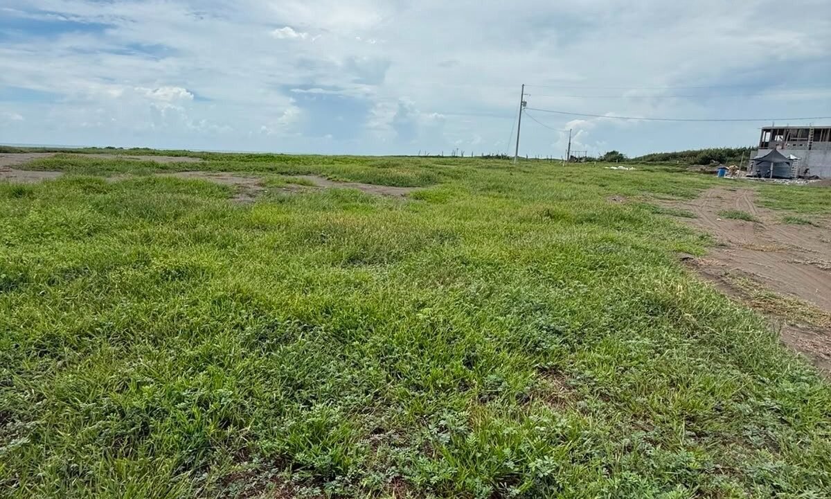 Terreno Frente al Mar en El Paredón | 3,808 m² | Desarrollo